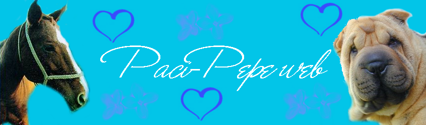 Pacik s Shar-peiek!